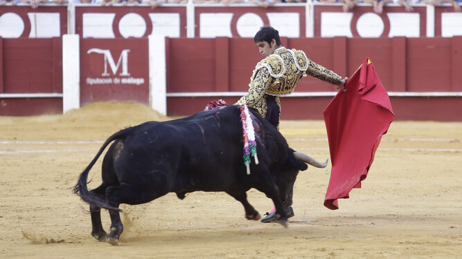 Miguel Ángel Perera en una de sus últimas actuaciones en La Malagueta dando un pase cambiado por la espalda.